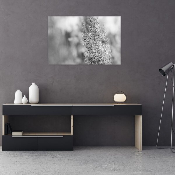 Tablou - Iarbă de pampas Boho (90x60 cm)
