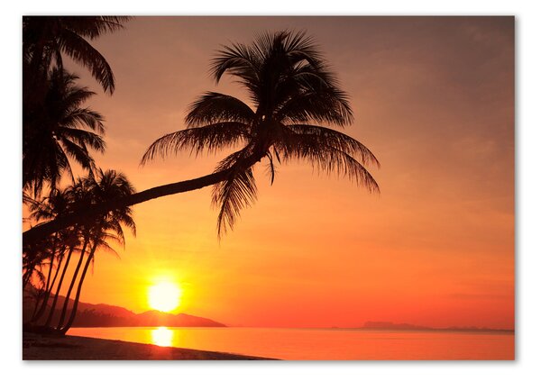 Fotografie imprimată pe sticlă Sunset Beach