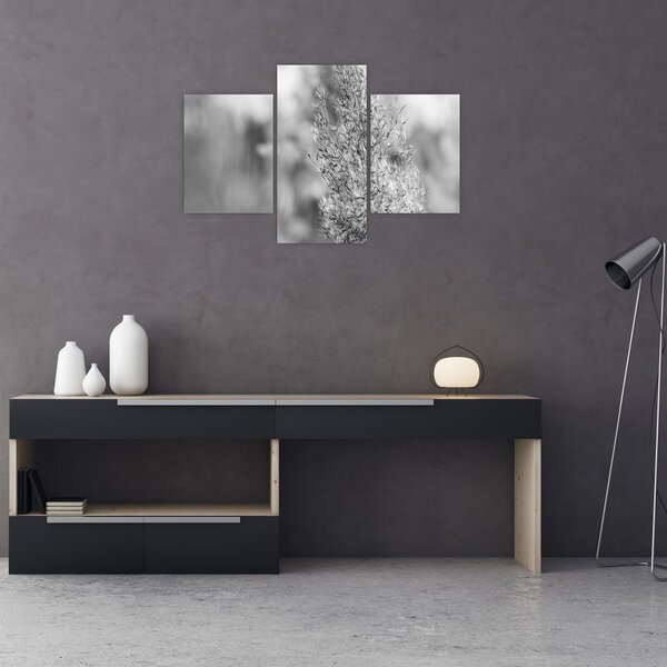 Tablou - Iarbă de pampas Boho (90x60 cm)