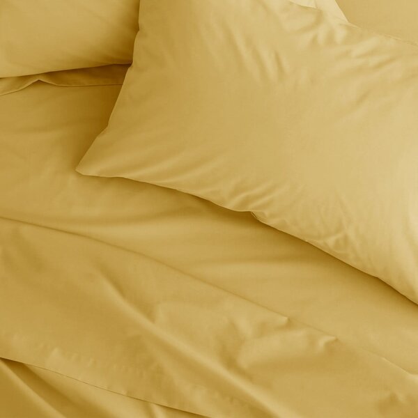 Cearceaf galben din bumbac percale cu elastic 90x190 cm Easy Iron Percale – Catherine Lansfield
