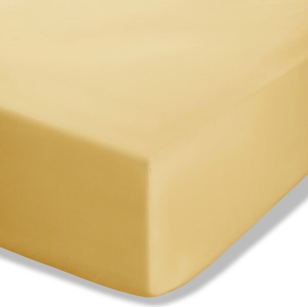 Cearceaf galben din bumbac percale cu elastic 90x190 cm Easy Iron Percale – Catherine Lansfield