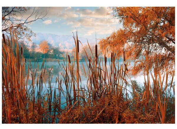 Fototapet lacul în mijlocul naturii de toamnă