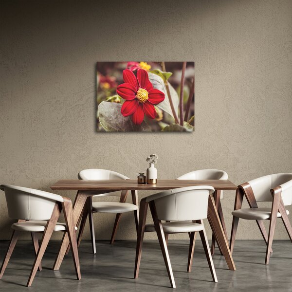 Tablou cu floare (70x50 cm)