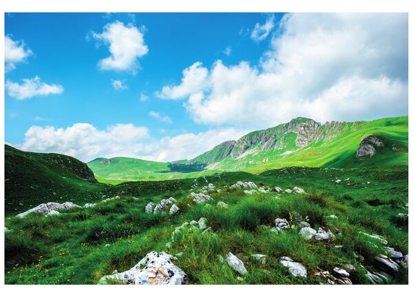Fototapet vale în Muntenegru