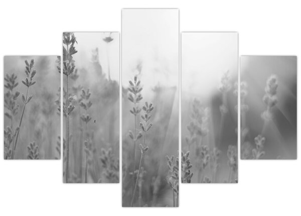Tablou - Lavanda (150x105 cm)