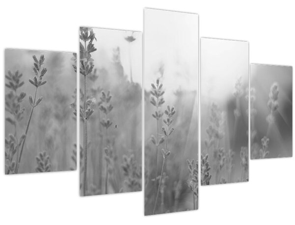 Tablou - Lavanda (150x105 cm)