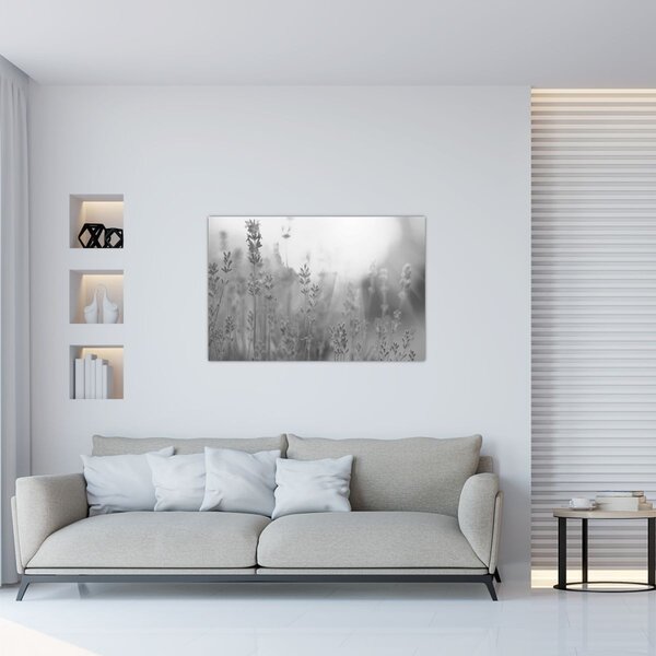 Tablou - Lavanda (90x60 cm)