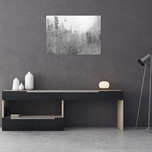 Tablou - Lavanda (70x50 cm)