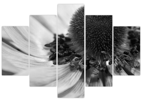 Tablou - Floare în alb-negru (150x105 cm)