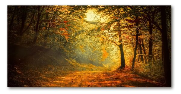 Tablou pe pe sticlă pădure în toamna