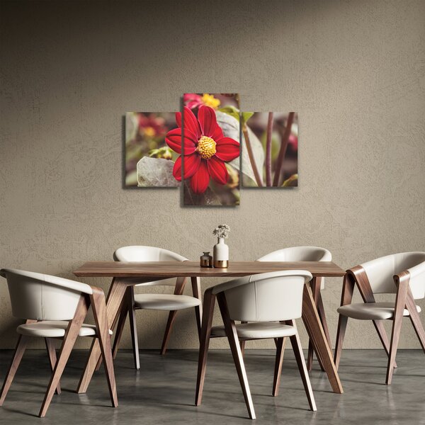 Tablou cu floare (90x60 cm)