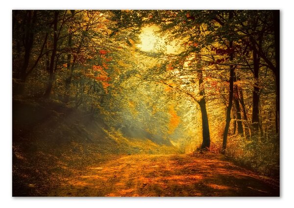 Tablou pe pe sticlă pădure în toamna