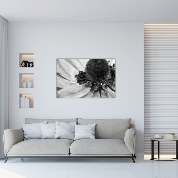 Tablou - Floare în alb-negru (90x60 cm)