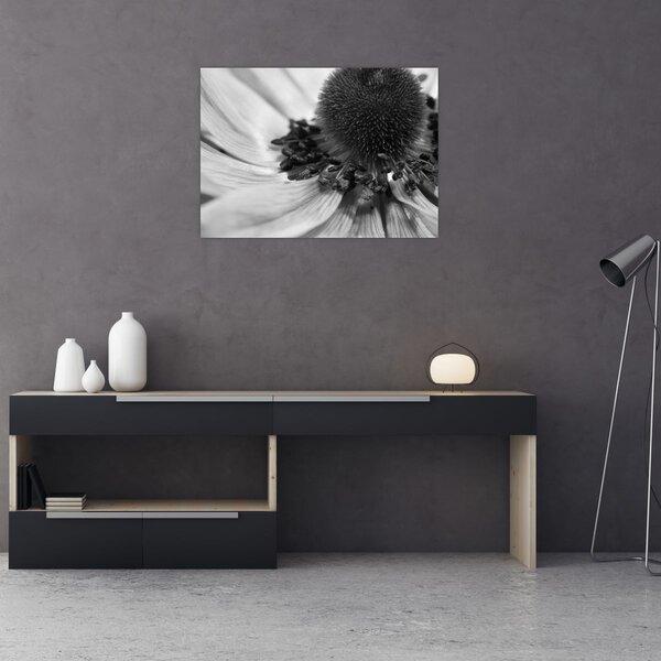 Tablou - Floare în alb-negru (70x50 cm)