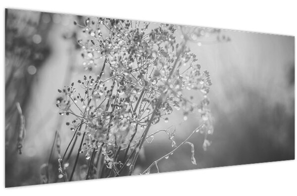 Tablou - Pajiște după ploaie (120x50 cm)