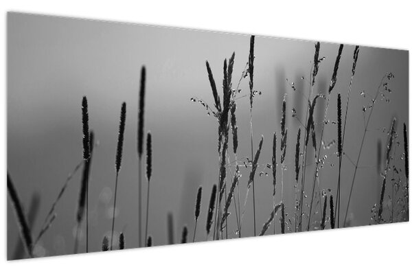 Tablou - Lamele de iarbă (120x50 cm)