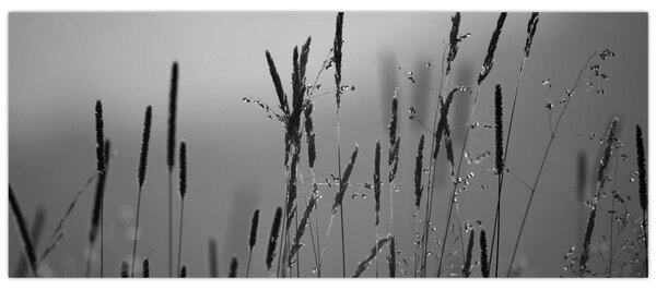 Tablou - Lamele de iarbă (120x50 cm)