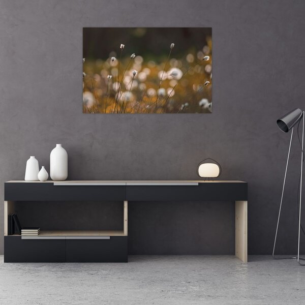 Tablou - Pajiște cu iarbă de cozonac N⁰2 (90x60 cm)