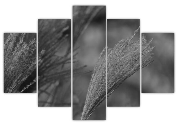 Tablou - Iarbă de pampas uscată (150x105 cm)