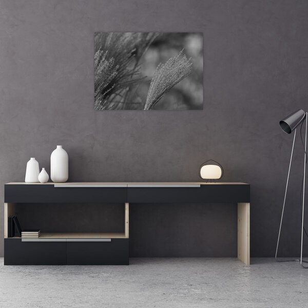 Tablou - Iarbă de pampas uscată (70x50 cm)