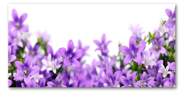 Tablou sticlă clopote violet