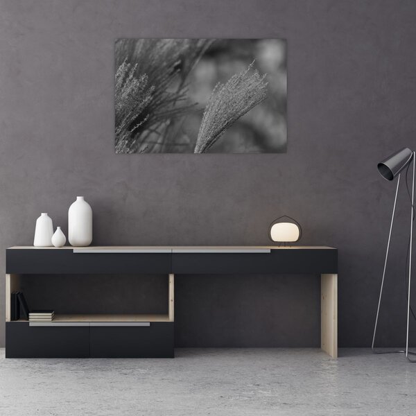 Tablou - Iarbă de pampas uscată (90x60 cm)