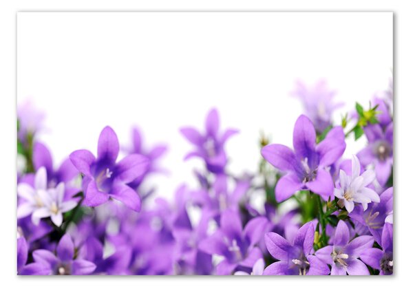 Tablou sticlă clopote violet