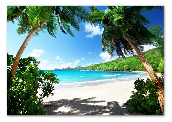 Fotografie imprimată pe sticlă plaja Seychelles