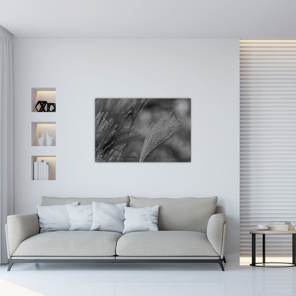 Tablou - Iarbă de pampas uscată (90x60 cm)