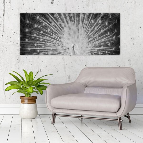 Tablou - Păun alb (120x50 cm)