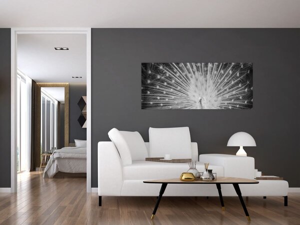 Tablou - Păun alb (120x50 cm)
