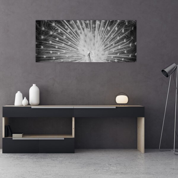 Tablou - Păun alb (120x50 cm)