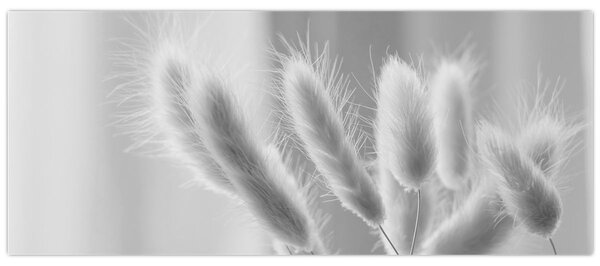 Tablou - Iarbă de coadă de iepure (120x50 cm)