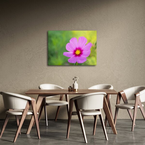 Tablou - floare de câmp (70x50 cm)