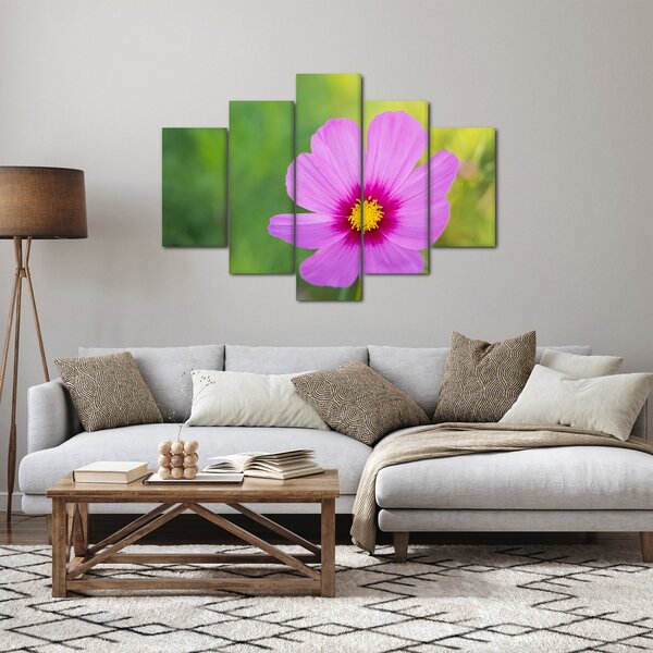 Tablou - floare de câmp (150x105 cm)