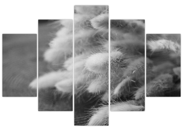 Tablou - iarbă de coadă de iepure pe masă (150x105 cm)