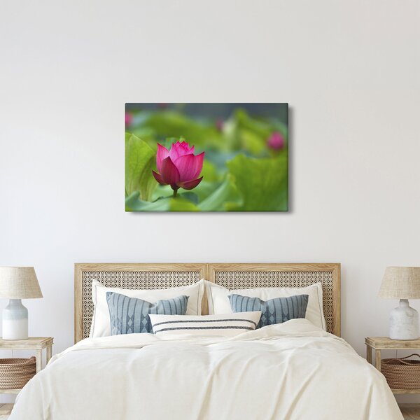 Tablou - floare de apă (90x60 cm)