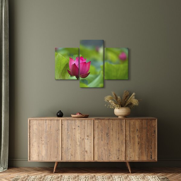 Tablou - floare de apă (90x60 cm)