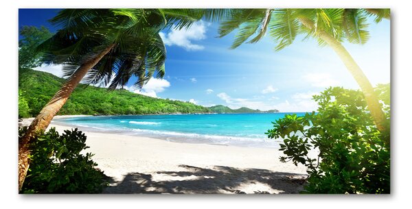 Tablou din Sticlă plaja Seychelles