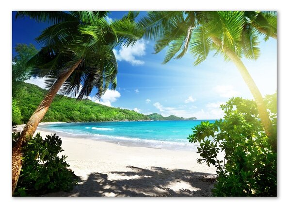 Tablou din Sticlă plaja Seychelles