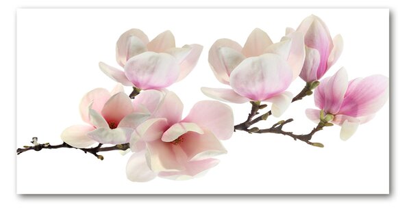 Tablou din Sticlă Magnolie