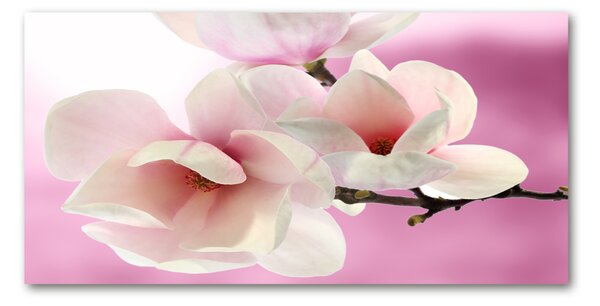 Tablou pe pe sticlă Magnolie