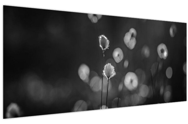Tablou - Iarba de bumbac în pajiște (120x50 cm)
