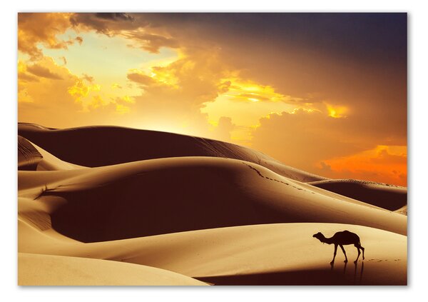 Tablou pe pe sticlă cămilă Sahara