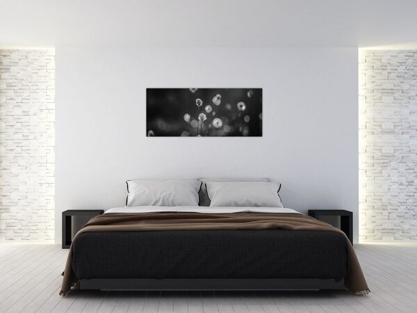 Tablou - Iarba de bumbac în pajiște (120x50 cm)