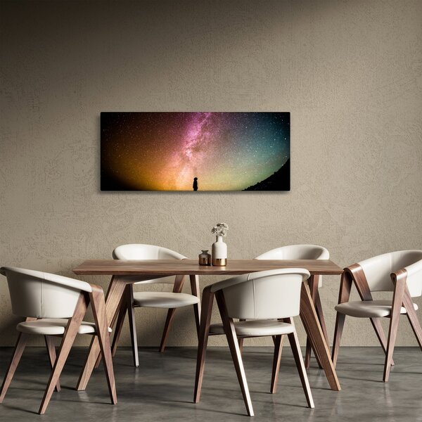Tablou - cerul plin de stele (120x50 cm)