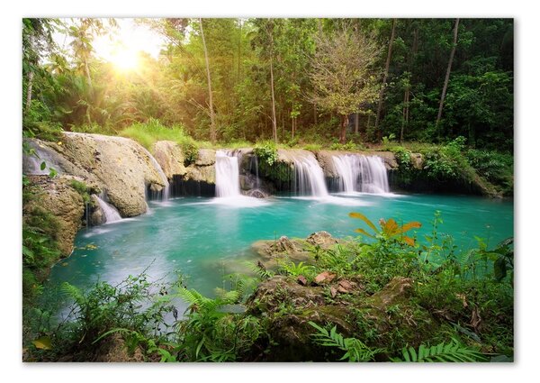 Tablou pe pe sticlă Cascada din pădure
