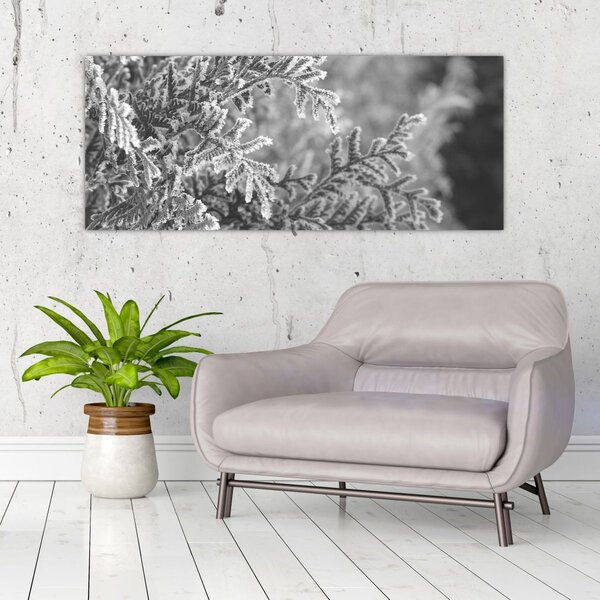 Tablou - Pădure de molid (120x50 cm)