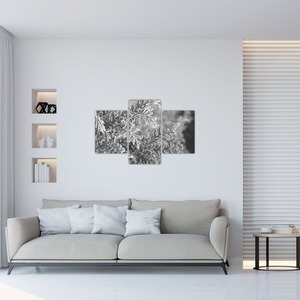 Tablou - Pădure de molid (90x60 cm)
