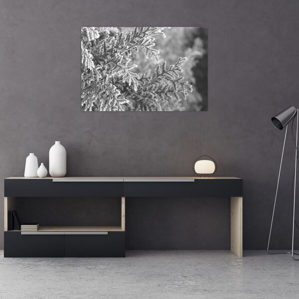 Tablou - Pădure de molid (90x60 cm)